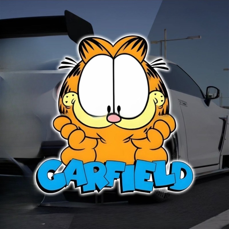 Car Accessories Sticker - Adesivi creativi per auto con simpatico